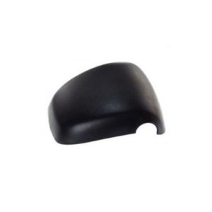 Carcasa retrovisor auxiliar DAF