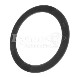 Reten BPW 165x128x2.5 9-10-12T H-R KH-KR